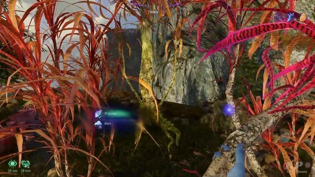 Avatar: Frontiers of Pandora - Where to Find Exquisite Dawnsheen Branch Location смотреть онлайн