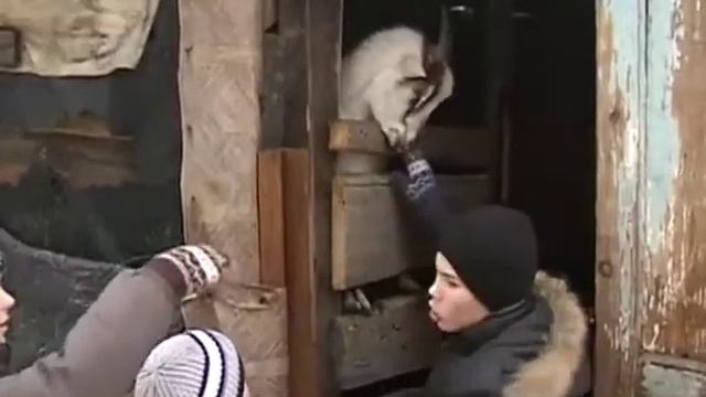 Штаб Рината Ахметова помогает выжить многодетной семье из поселка Минеральное смотреть онлайн