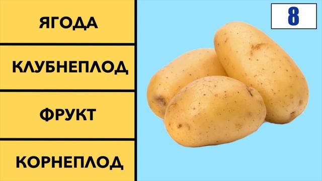 #топ #творчества смотреть онлайн