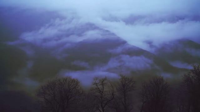 Психологический триллер. 