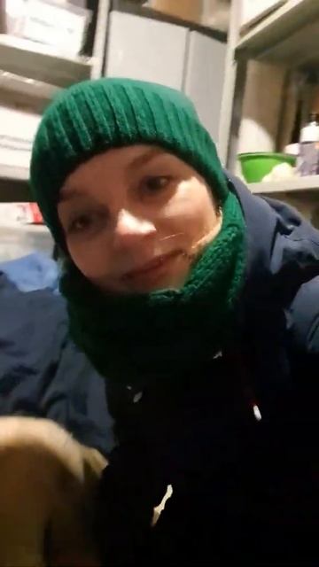 собака Дора. ищет дом смотреть онлайн