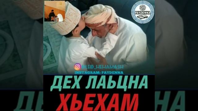 Дех лаьцна хьехам смотреть онлайн