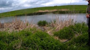 Рыбалка на Щуку весной.