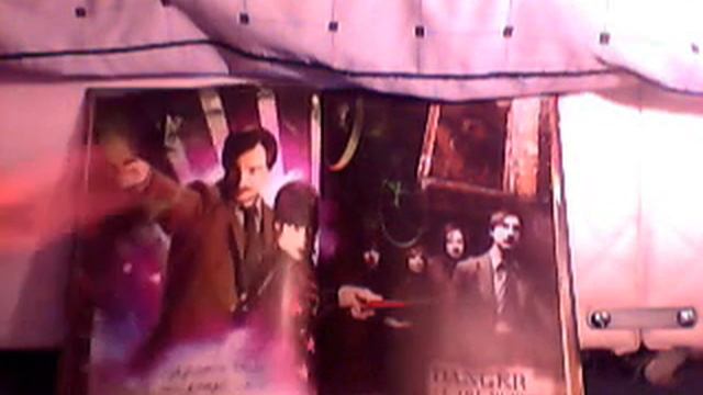 Harry Potter Poster Annual