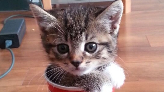 Трюки с ножом бабочкой. Обучаю с ноля