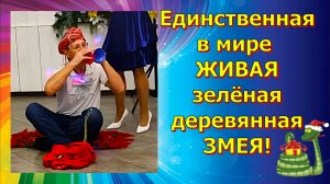 Конкурс «Заклинатель змей»! 🔥👍 Единственная в мире ЖИВАЯ деревянная змея!) Новогодние чудеса 🤣!