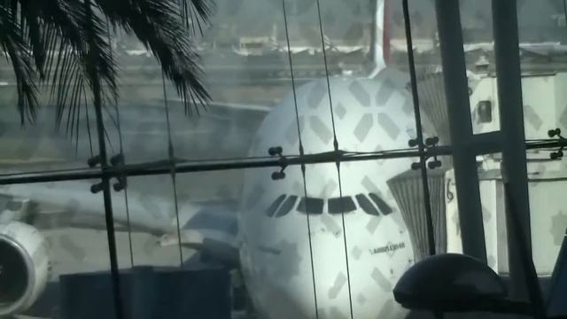 Business Class Emirates - A380 | My Trip Dubai - Bangkok