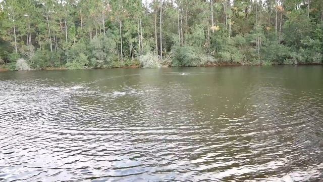 RC Boat FAIL смотреть онлайн