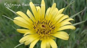 13 апреля День Ипатия. Что нельзя делать 13 апреля День Ипатия Народные традиции и приметы 13 апрел