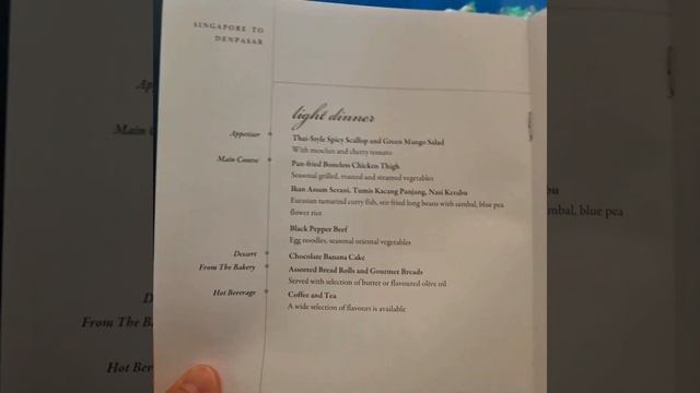 SIA Business Class Lounge SQ Singapore 🇸🇬 Changi International Airport 🛫 SIA Business Class SQ смотреть онлайн