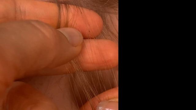 How to Nit Pick Tutorial смотреть онлайн