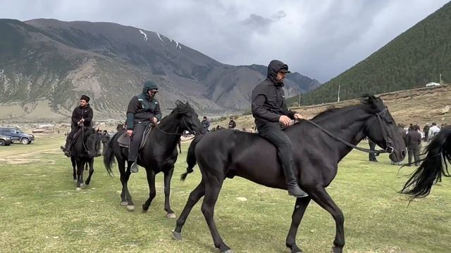 Определение ТОП-20. Переход-Выставка карачаевской породы лошадей 2024. смотреть онлайн