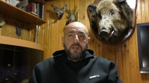 1. НАТАСКА ЛЕГАВЫХ СОБАК