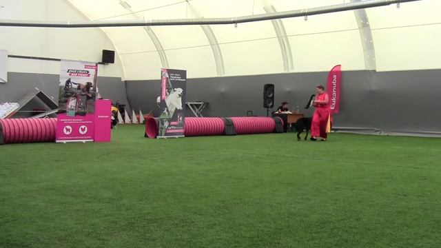 Мастер-HTM (в/з) - Лобастова Инна и босерон Истгаард Арвен