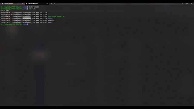 Linux Komut Satırı - 9 - mkdir, rmdir, chmod, "rm -rf" - directory hierarchy creation смотреть онлайн