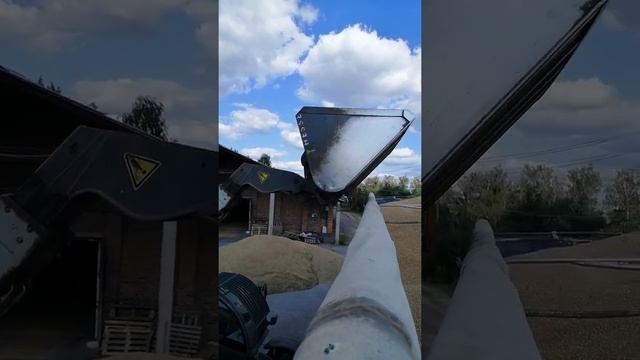 Загрузка пшеницей в режиме погрузчика Класс. смотреть онлайн
