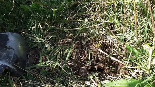 ЗДЕСЬ МЕТАЛЛА ВАЛОМ//СУПЕРКОП #металлокоп #поиск #находки #коп смотреть онлайн
