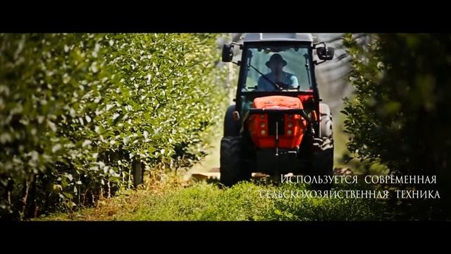 Казачий Хутор brand video смотреть онлайн