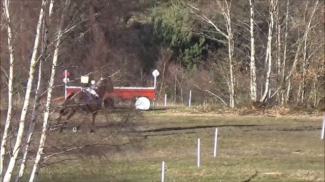 Alex Holman & Ebart Nita - Tweseldown Intermediate XC 8/3/18 смотреть онлайн