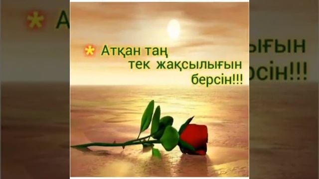 С днём Арафа смотреть онлайн