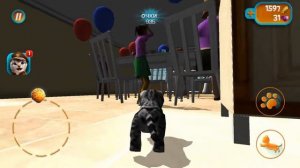 CAT SIMULATOR ★ СИМУЛЯТОР КОШКИ ★ МИЛАХА