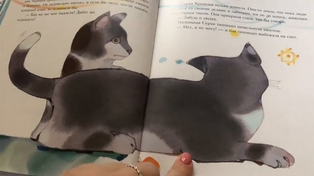 Лене Майер-Скуманц: Где кошка встретит Новый год