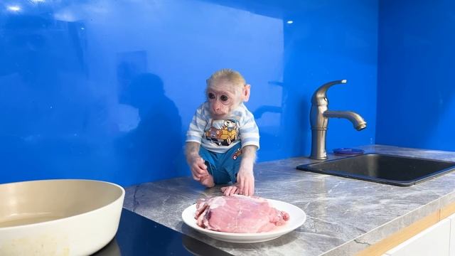 Jic Jic is smart and takes the money to go to the market to buy meat for his dad смотреть онлайн