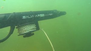 Подводная охота в мутной воде с коротким ружьем