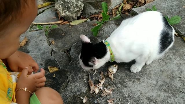 dek naura senang sekali beri makan mochi kucing lucu ikan pindang favorit смотреть онлайн