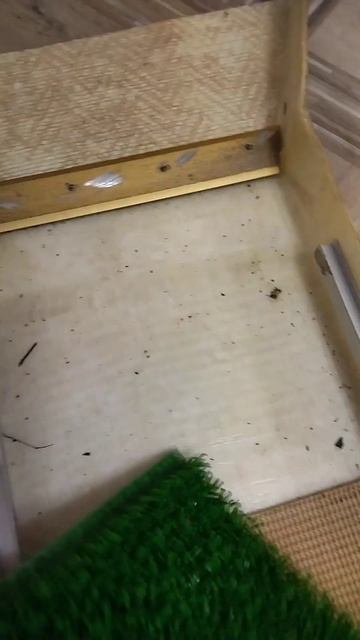 Разведочный шлюз для поиска золота. смотреть онлайн
