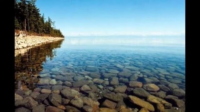 Лучшие моменты в жизни природы! смотреть онлайн