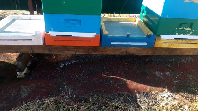 МЕНЯЕМ ДОНЬЯ МЫ ВОТ ТАК. смотреть онлайн