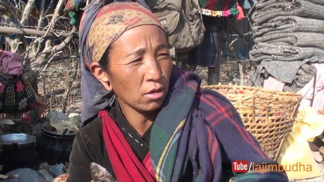 woolen blanket business did not go well this year || magar kham bhasa || смотреть онлайн