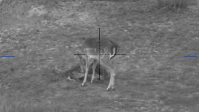 Pulsar digisight ultra n455 смотреть онлайн