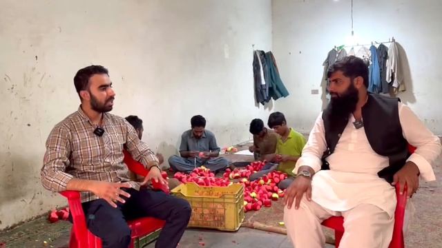 Small Unit of Tennis ball Factory with business details in pakistan смотреть онлайн