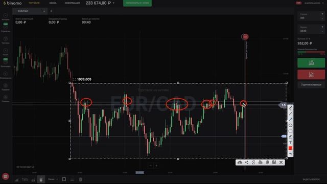 КАК ЗАРАБАТЫВАТЬ на БО? ОЛИМП ТРЕЙД И БИНОМО. смотреть онлайн