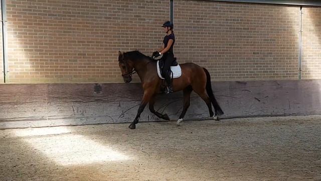 impuls everdale x farrington смотреть онлайн