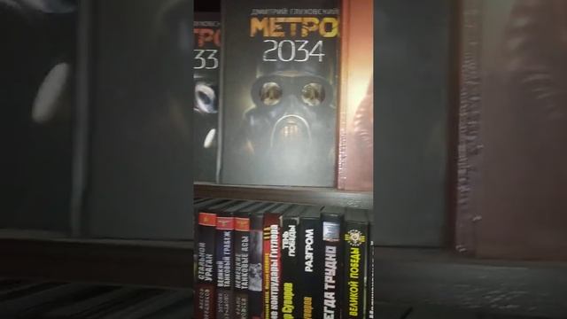 решил прочитать книгу и захотел пройти метро 2033