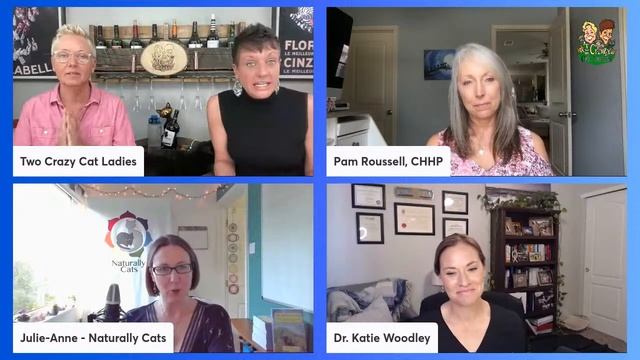 Over-vaccination in cats Round Table Talk 5/15 | Purrrfectly Holistic смотреть онлайн