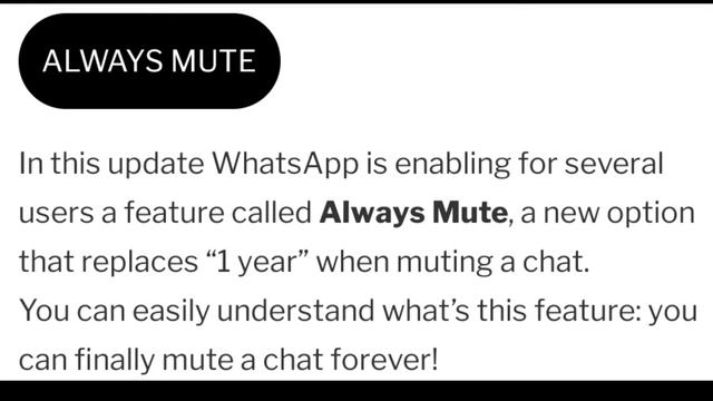 Whatsapp new Update | Always Mute | No Business Calls | WhatsApp beta for Android смотреть онлайн