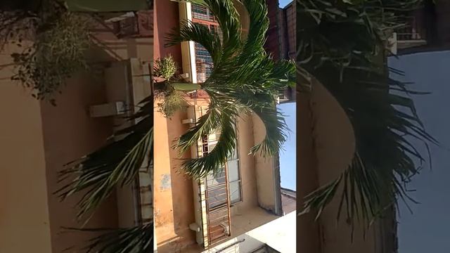 Tes beban genset Prima Teknik смотреть онлайн