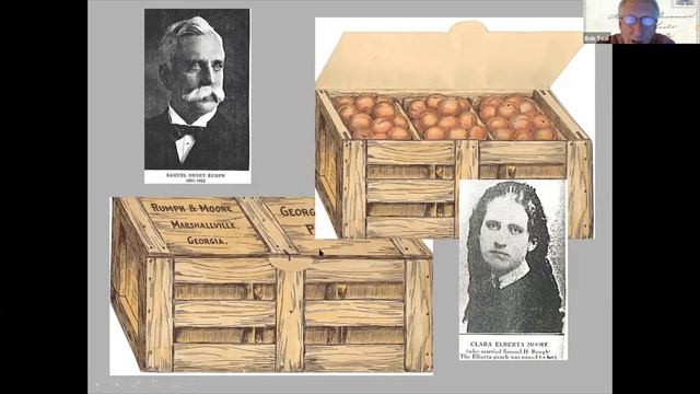Livermore and Knight-Printed Matter Advertising Cards: 1890-1919 смотреть онлайн