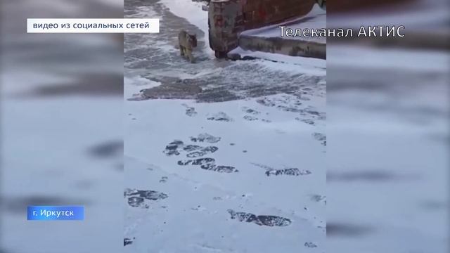 Полосатый променад смотреть онлайн