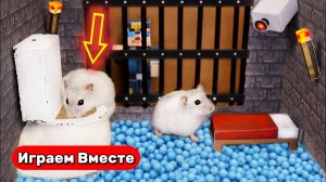 Хомяк проходит сложный лабиринт с ловушками ! Побег из тюрьмы ! Видео для детей !