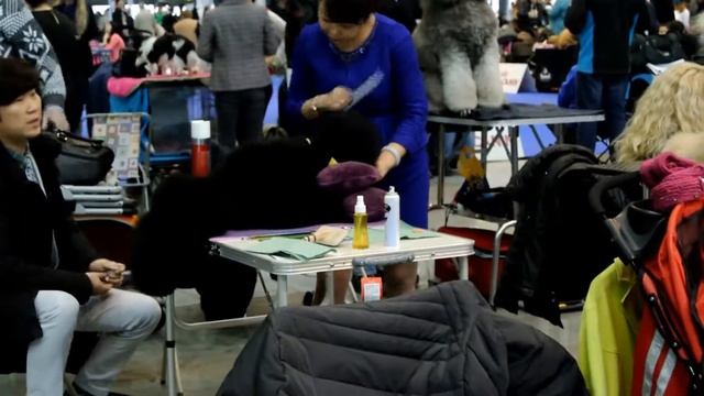 BRNO  4,  5  2   2017