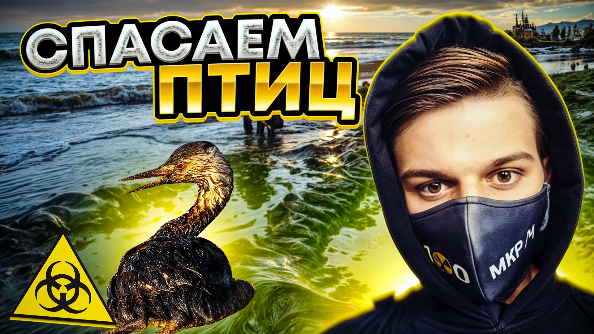 Анапа - СПАСАЕМ ПТИЦ от мазута в ЧЁРНОМ МОРЕ смотреть онлайн