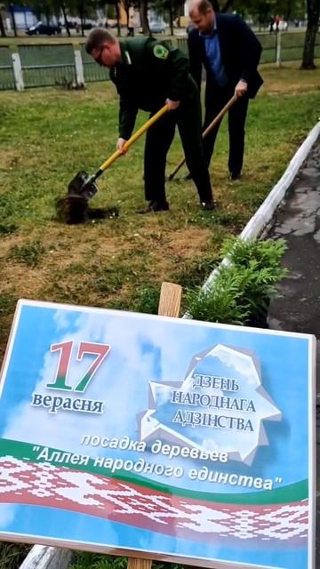 Аллея народного единства в СШ N11 Слуцка🌳 смотреть онлайн