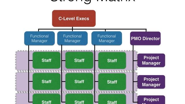 Types Of Organizational Structure | Functional | Matrix | Projectized смотреть онлайн