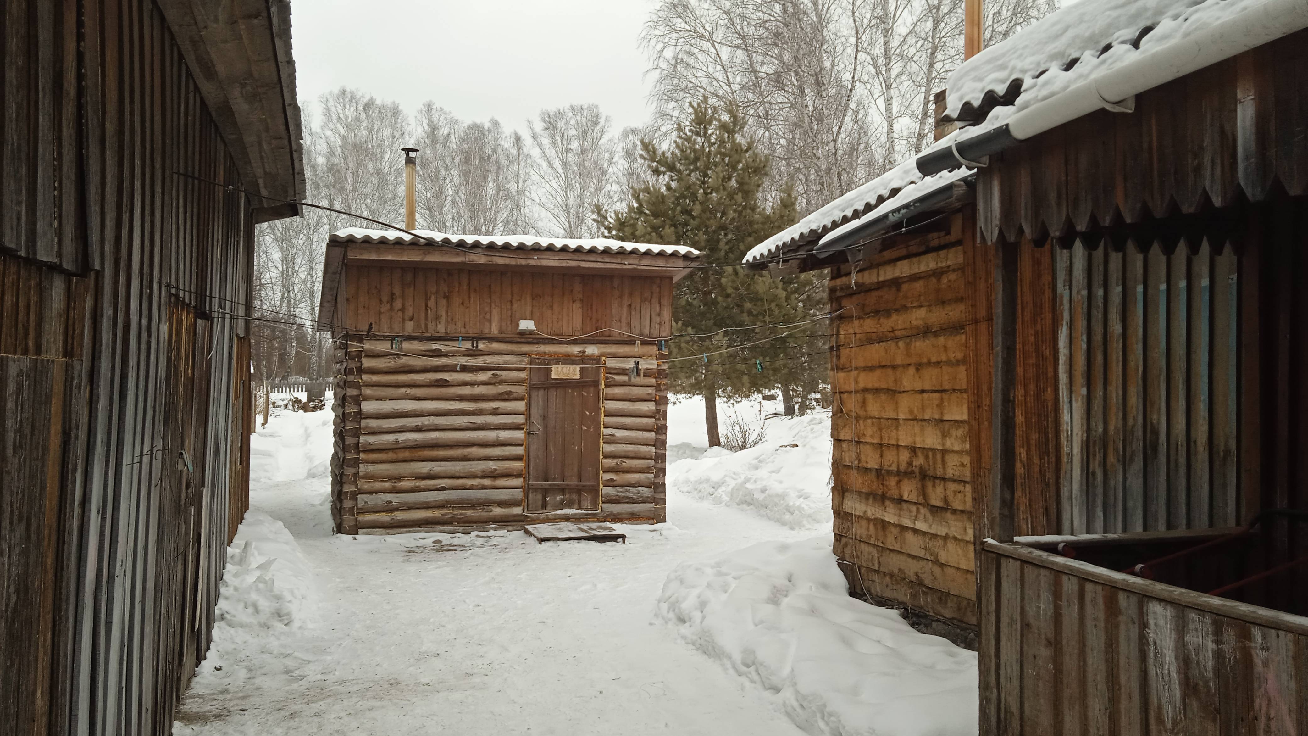 Сам останься голодным в обед а домашних животных накорми смотреть онлайн