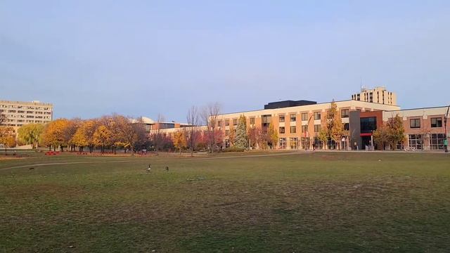 Schulich School of Business - Masters of Business (MBA) Open House смотреть онлайн